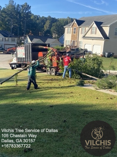 Common signs of a hazardous tree