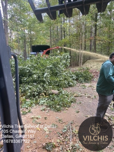 Safety precautions for stump grinding