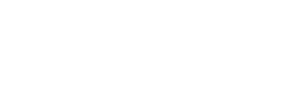 fit sneaker essentials