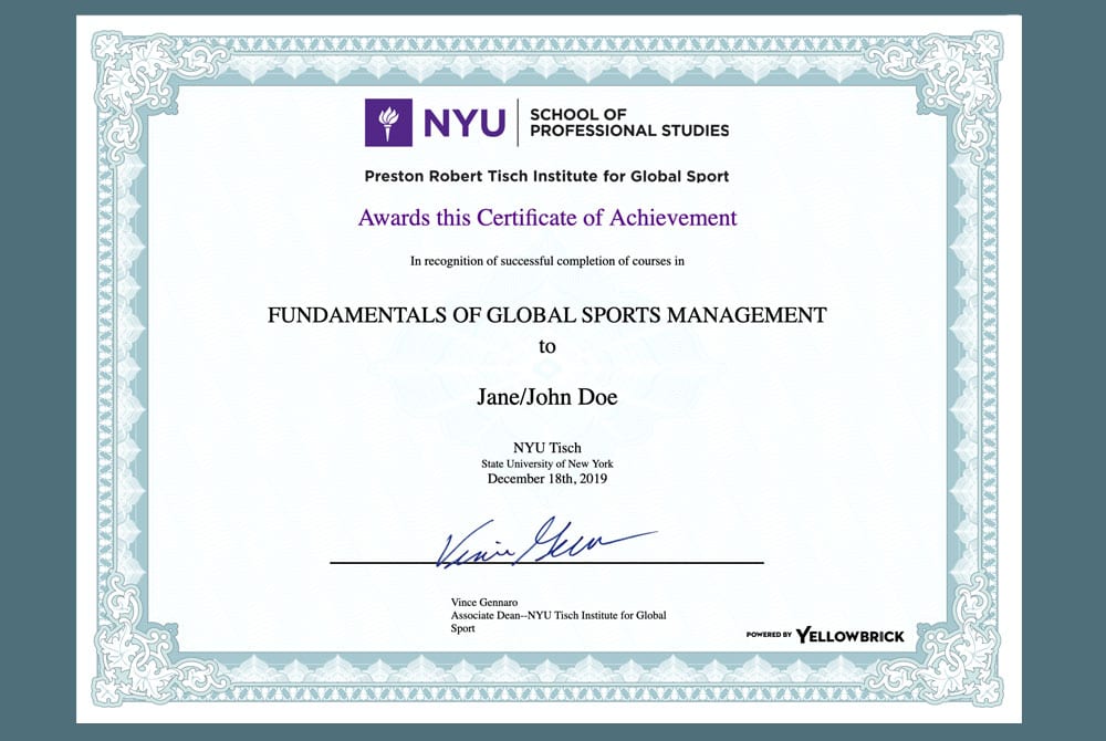 NYU Fundamentals of Global Sports Management Yellowbrick