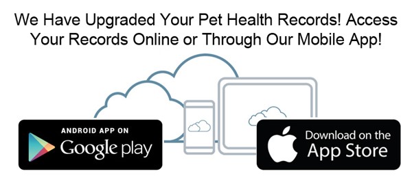 mobile.jpg?1447217677