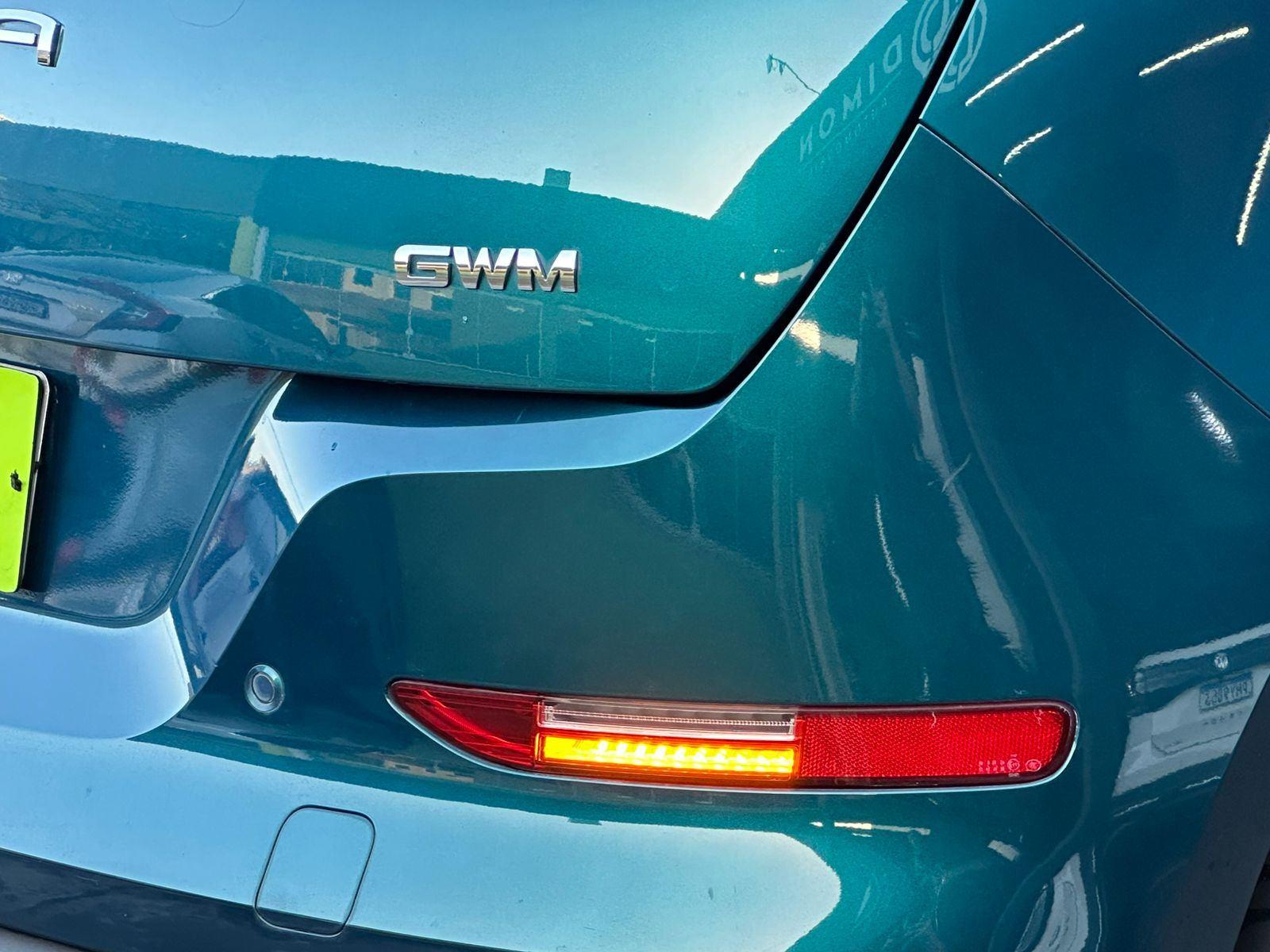 GWM ORA 03 Skin (Elétrico) 2024
