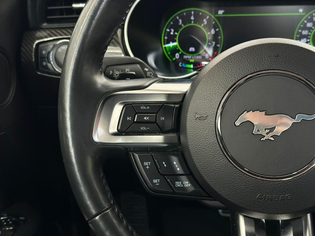 Ford Mustang GT BLACK SHADOW 5.0 V8 466CV 2020