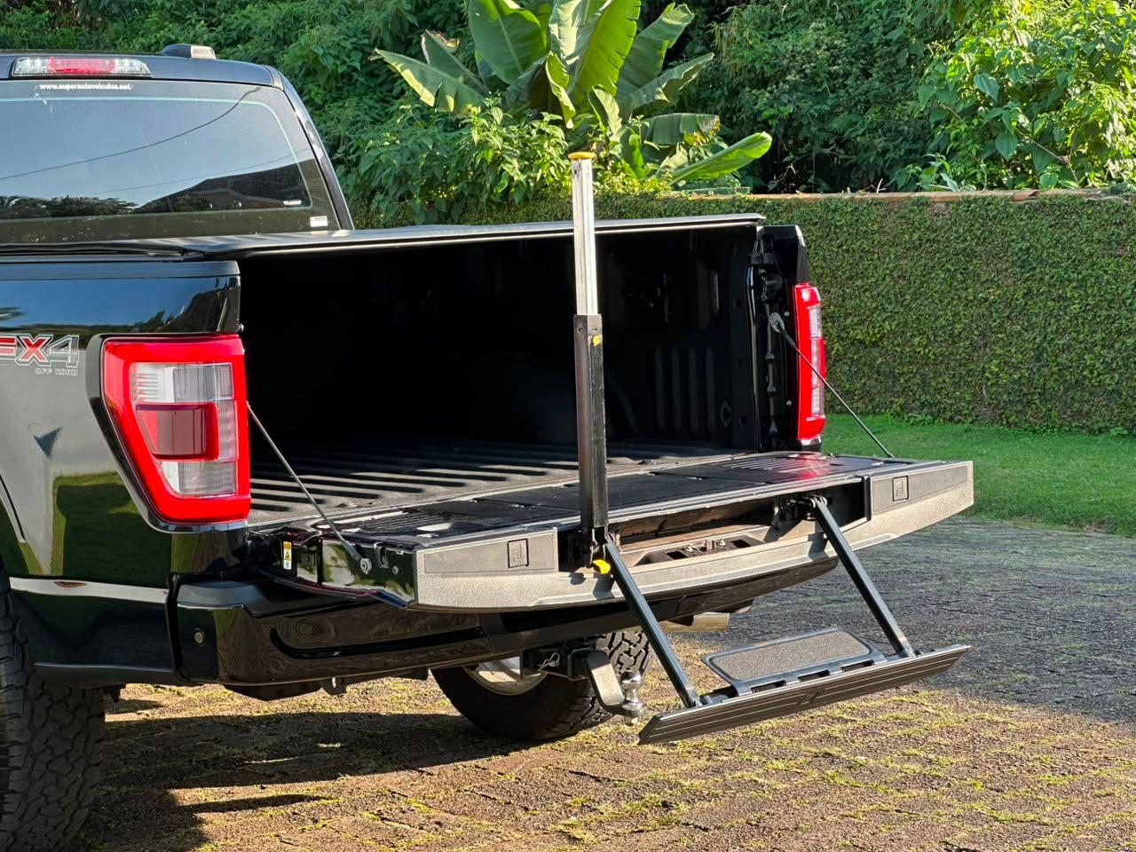 Ford F-150 PLATINUM ABAIXO DA FIPE! 2023