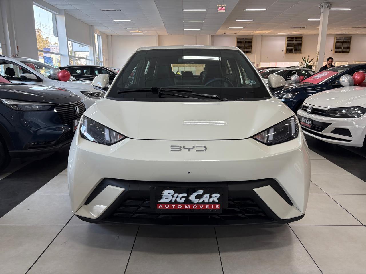 BYD Dolphin Mini (Elétrico) 2025