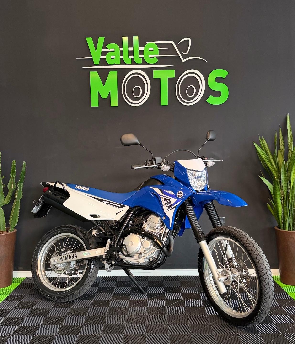 Yamaha XTZ 250 LANDER 249cc/LANDER BLUEFLEX/ABS 2015