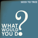 SEED TO TREE - What Would You Do?