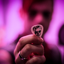 The Amazing Sessions - Fearless Vampire Killers
