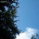 Square_130_130