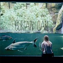Simian Ghost - Curtain Call