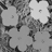 Af_small
