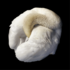 sootytern