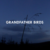 Grandfather Birds