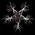 Dark Pariah