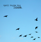 April Maybe May
