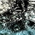 TheBecalmed