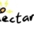 the  Nectarines