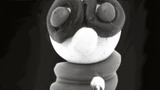 Af_small