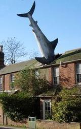 Dave Dark and the Sharks