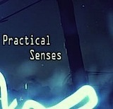 Practical Senses