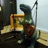 Dreaming of Dinosaurs