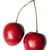 Marlon Cherry