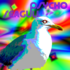 Psycho Seagull