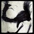 Cave Birds