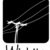 Wichita Recordings