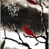 The Painted Bird