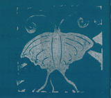 Silvermoths