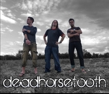 deadhorsetooth