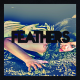 Feathers