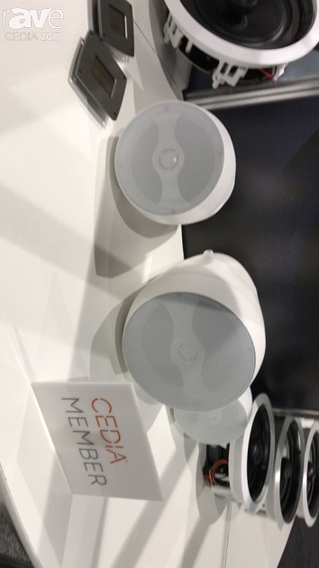 CEDIA 2017: HiVi Acoustics Intros CS-204 Outdoor Speaker