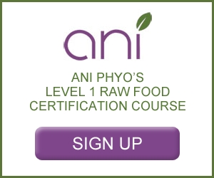 Ani Phyo