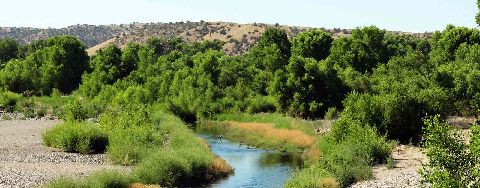 Gila River American Rivers