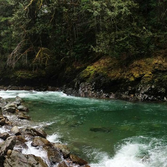 Nooksack River American Rivers