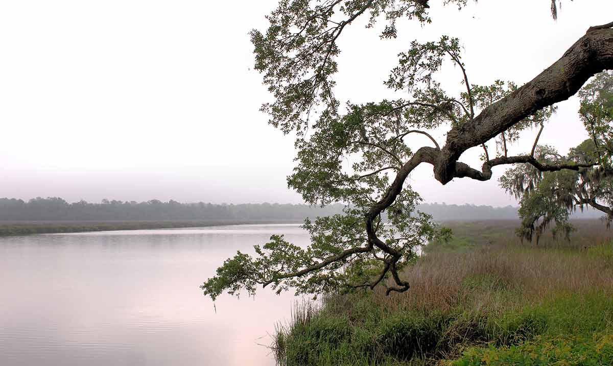 Ashley River American Rivers