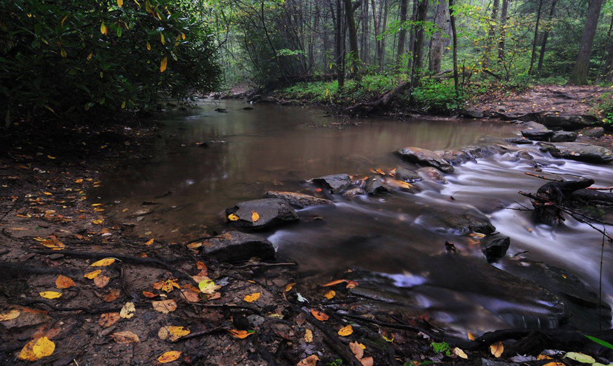Catawba River American Rivers