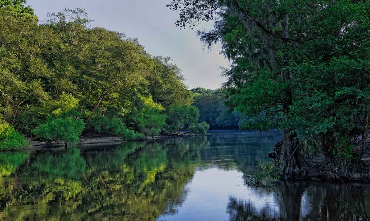 Edisto River American Rivers