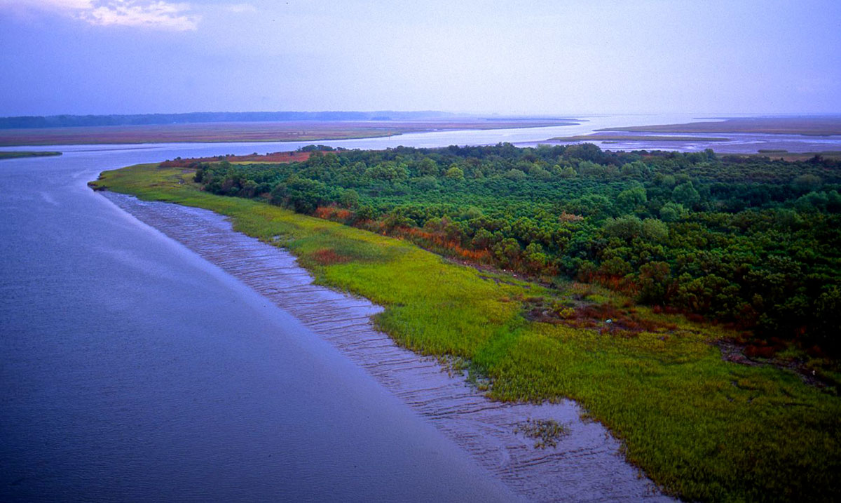 Edisto River American Rivers