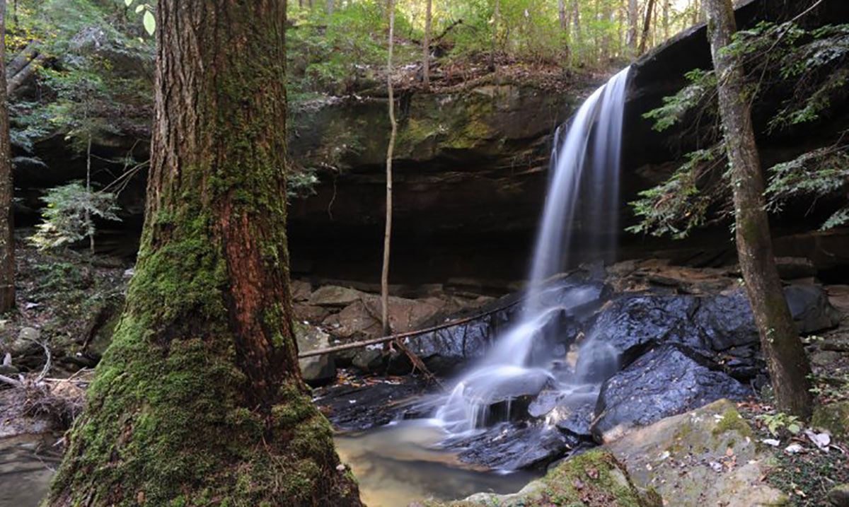 Black Warrior River American Rivers