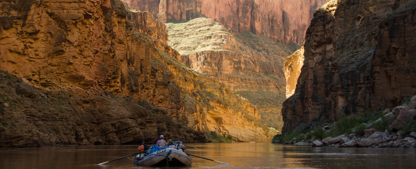 Canyon Gold | Ken Neubecker