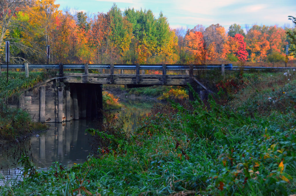 Working Together to Keep Flint River Flowing American Rivers