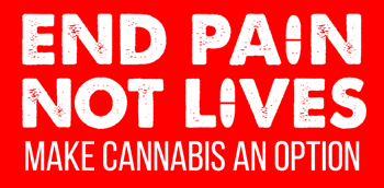 End Pain, Not Lives