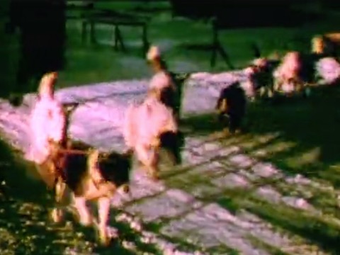 thumbnail of Uncle Sam's Men