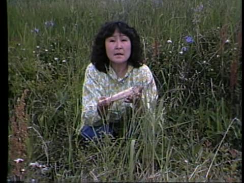 thumbnail of The Fascination of Our Past