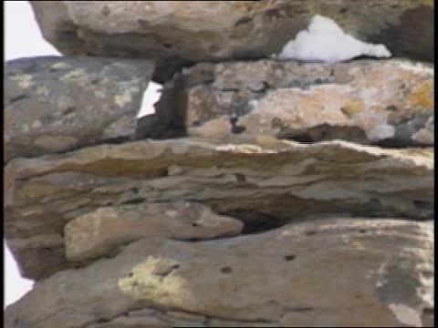 thumbnail of Tununak April 1992