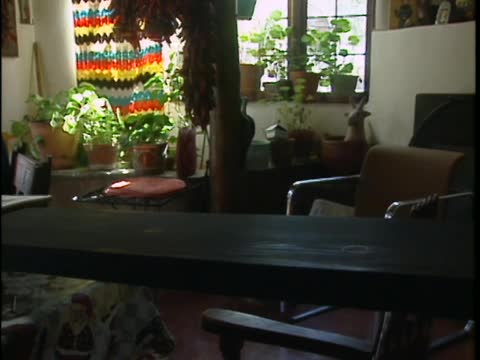 thumbnail of ¡Colores!; 1202; Los Escondidos; Dolly Straw, Straw MCU, CU, ECU