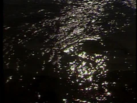 thumbnail of ¡Colores!; 210; Surviving Columbus: "First Encounters"